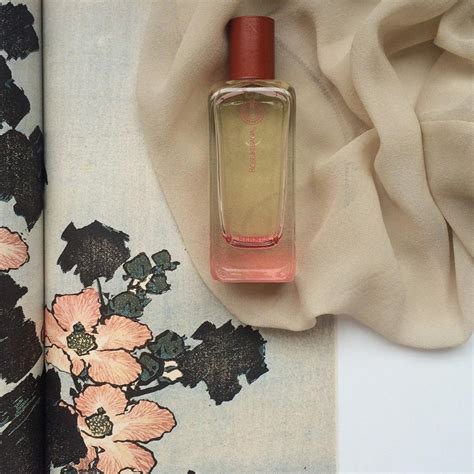 hermessence rose ikebana hermes купить|hermes rose ikebana perfume.